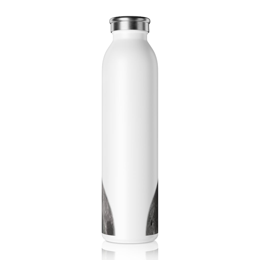A.X.I.S. HYDRATION Moon - Stainless Steel Bottle