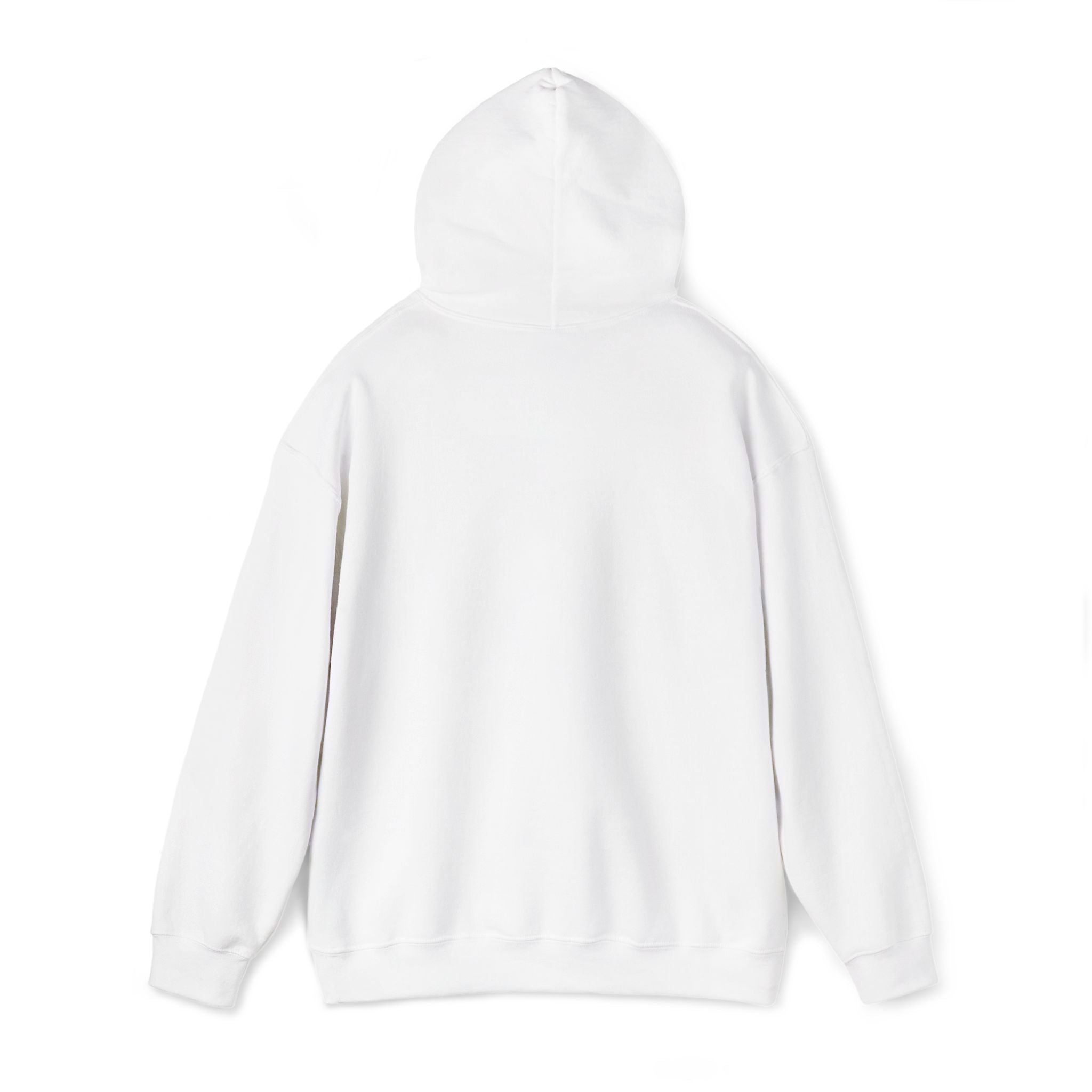 A.X.I.S Modern Branded Hoodie EMBROIDERED